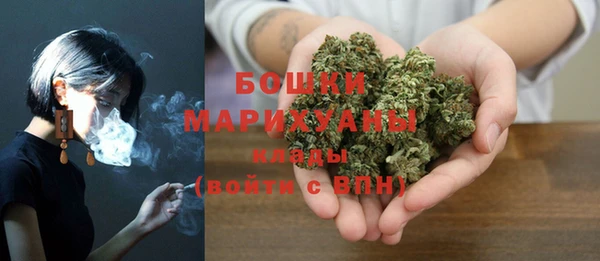 не бодяженный Горно-Алтайск