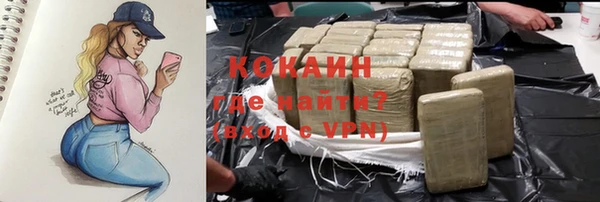 прущие грибы Володарск
