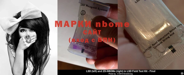 прущие грибы Володарск