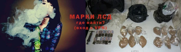 прущие грибы Володарск