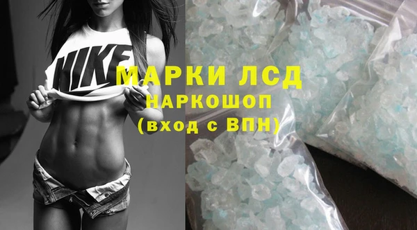 прущие грибы Володарск