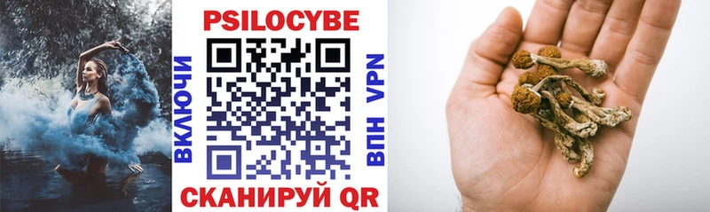 закладка  Ершов  Галлюциногенные грибы прущие грибы 