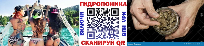 Бошки марихуана гибрид  KRAKEN tor  Ершов 
